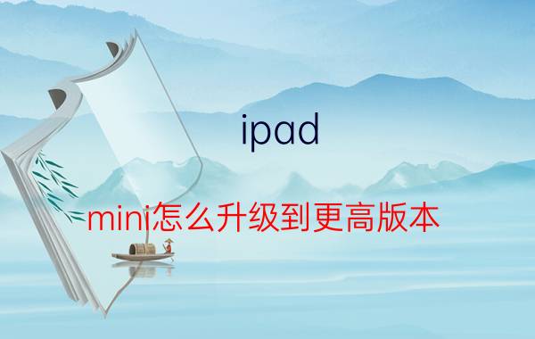 ipad mini怎么升级到更高版本 ipad四代最高可以升级版本？